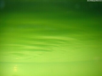 Best Simple Green Background Desktop Wallpaper Collection