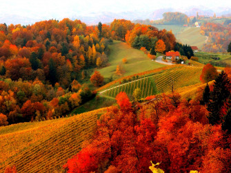 Beautiful Fall Scenery Wallpaper