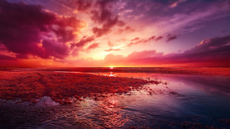 Nature Dream 4k Wallpaper HD Image