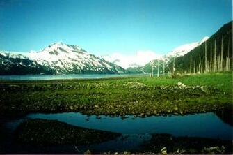Alaska Scenery J6 Jpg