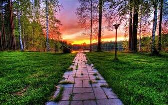 Wonderful Wallpaper