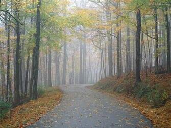 Percy Warner Park Nashville Tennessee Pap Is De Parede Para Pc