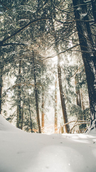 Snow iPhone Background Wallpaper