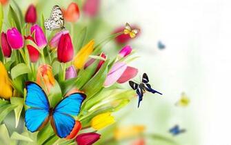 HD Wallpaper Desktop Background Windows