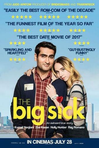 The Big Sick Re Good Film Guide