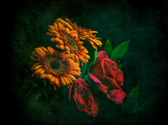Wallpaper Roses And Sunflowers