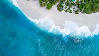 Beach Aerial Photo Wallpaper HD 4k Background Birds