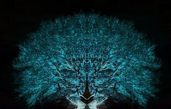 Cat Fractal Psychedelic HD By Andenanden Digital Art