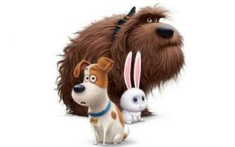 The Secret Life Of Pets 4k 8k HD Wallpaper IHD