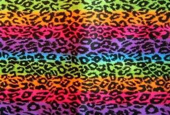 Rainbow Leopard Graphics Code Comments Pictures