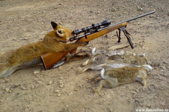 Funny Fox Hunting Wallpaper By Ashenfoxx