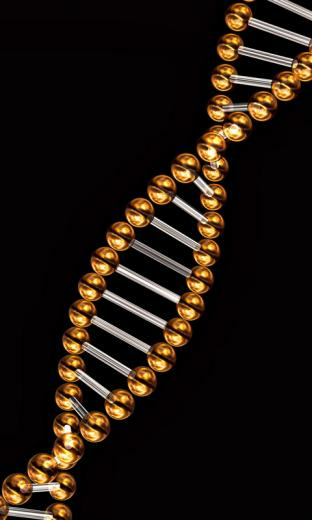 Dna HD Wallpaper Live For Android Software