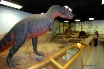 Natural History Las Vegas Museum