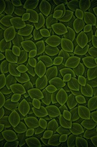 Cool Green Leaf iPhone Wallpaper HD