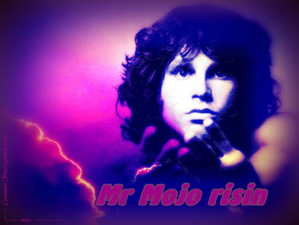 Mr Mojo Risin The Doors Wallpaper