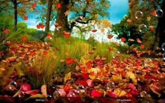 Autumn Live Wallpaper Screenshot
