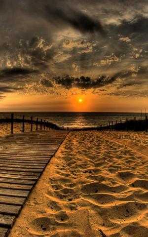 Nature iPhone Plus Wallpaper Wooden Path Sea