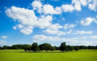 Beautiful Summer Day In The Park HD Wallpaper