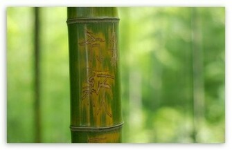 Feng Shui Bamboo Stick HD Wallpaper For Standard Fullscreen