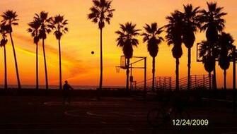 Venice Beach Basketball Wallpaper Google Search