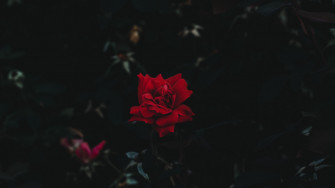 Red And Black Aesthetic Computer Wallpaper