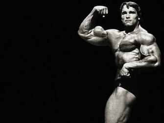 Wallpaper Of Arnold Schwarzenegger