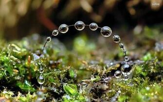 Beautiful Water Drops Wallpaper Weneedfun