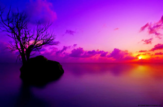 Color HD Wallpaper