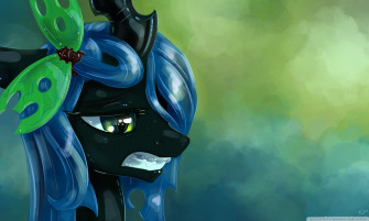 Pony Portrait S 4k UHD Wallpaper For UltraHD Desktop And Tv