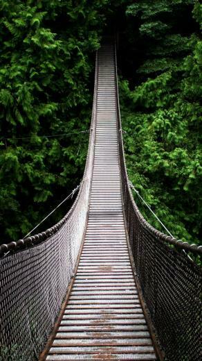 Forest Wooden Suspended Bridge iPhone Wallpaper Ipod HD
