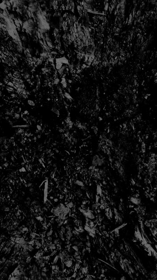 Black And White iPhone Wallpaper