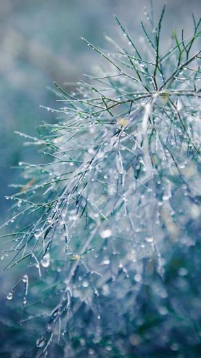 Raindrops Bokeh iPhone 5s Wallpaper iPad
