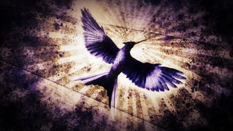 Mockingjay By SandwicHDelta Customization Wallpaper Other