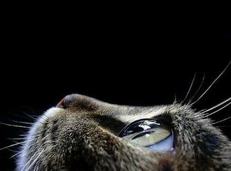 Creative Collections Most Amazing Photos Ever