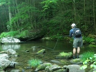 Fly Fishing In N Carolina Wallpaper