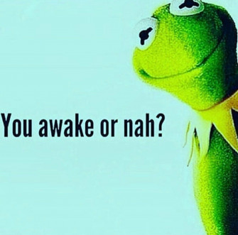 Kermit The Frog Wallpaper