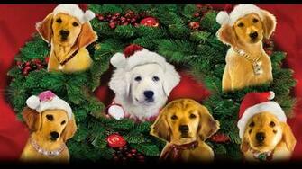 Santa Buddies Wallpaper Unified News