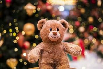 Best Teddy Bear Pictures HD Image