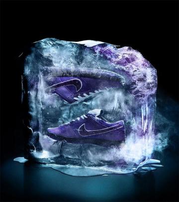 Concepts X Nike Sb Dunk Purple Lobster Fresh Catch Snkrs