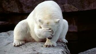 Can T Stand It Any Longer So Many Dumb Pricks All Day Staring At Me