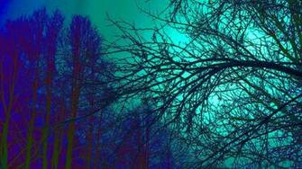 Trippy Nature Wallpaper Top Background