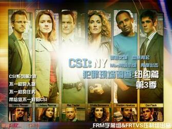 Csi New York Wallpaper In Chinese Ny