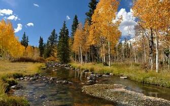 Autumn Scene