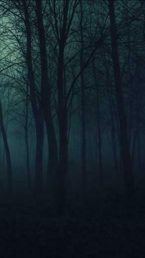 Dark Forest Wallpaper Id