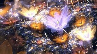 Abstract Art Fractal 3d Flowers HD Wallpaper Stylish