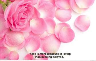 Love Wallpaper