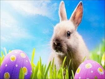 Easter Lamb Wallpaper