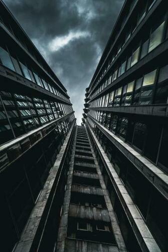 Zurux Photography On Portfolio iPhone Wallpaper Bird