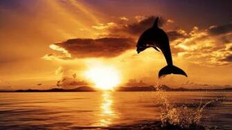 Sunset Desktop Background Wallpaper High Definition Quality