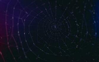 Spider Web Computer Wallpaper Desktop Background